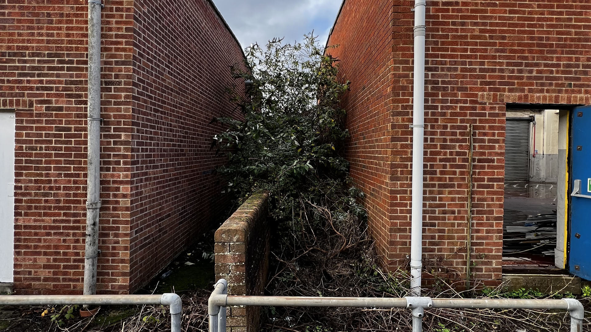 Who Should You Contact First — The Council, a Surveyor, or Your Neighbour Bolton?