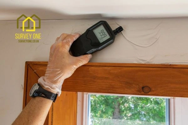 Should You Repair Party Wall Damp Yourself or Hire a Specialist Surveyor Bolton?